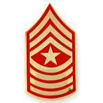  E9 Master Sargent Mil Hat Pin
