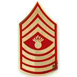  E9 Master Gunnery Sargent Mil Hat Pin
