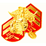  USMC on Sgt. Stripes Mil Hat Pin