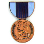  Airman's Medal Miniature Military Medal Mil Hat Pin