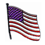  American Flag Misc Hat Pin