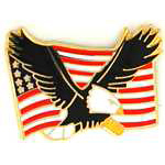  U.S.A. & Eagle Misc Hat Pin