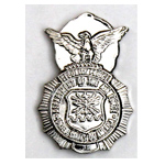  Security Police Mil Hat Pin