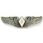  WASP wings Mil Hat Pin