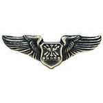  Early Pilot's Wings Mil Hat Pin