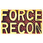  Force Recon Mil Hat Pin