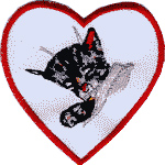 3in. RR Patch Chessie