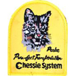 3in. RR Patch Peake